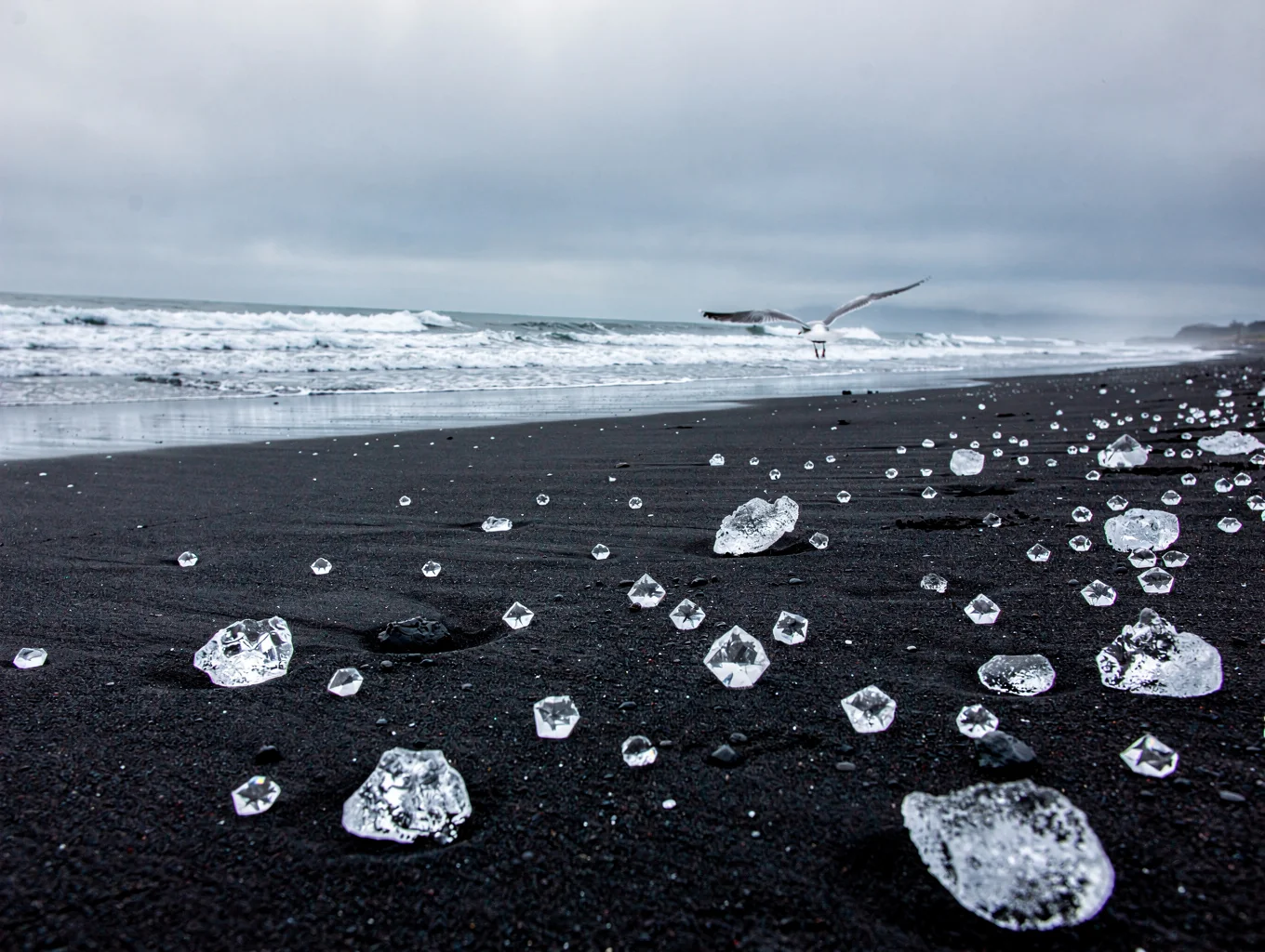 Glacial ice fragments stranded on black volcanic sand in Iceland
